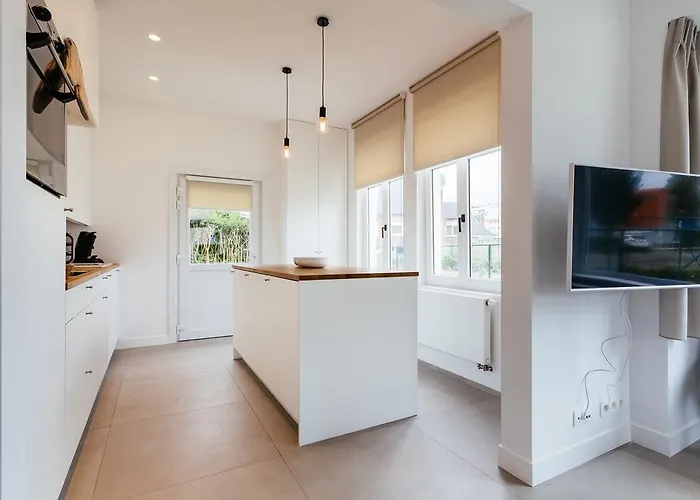 Cosy Apostroff 코크시데